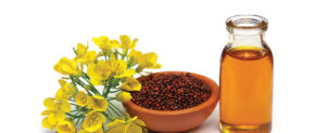 kachi ghani mustard oil