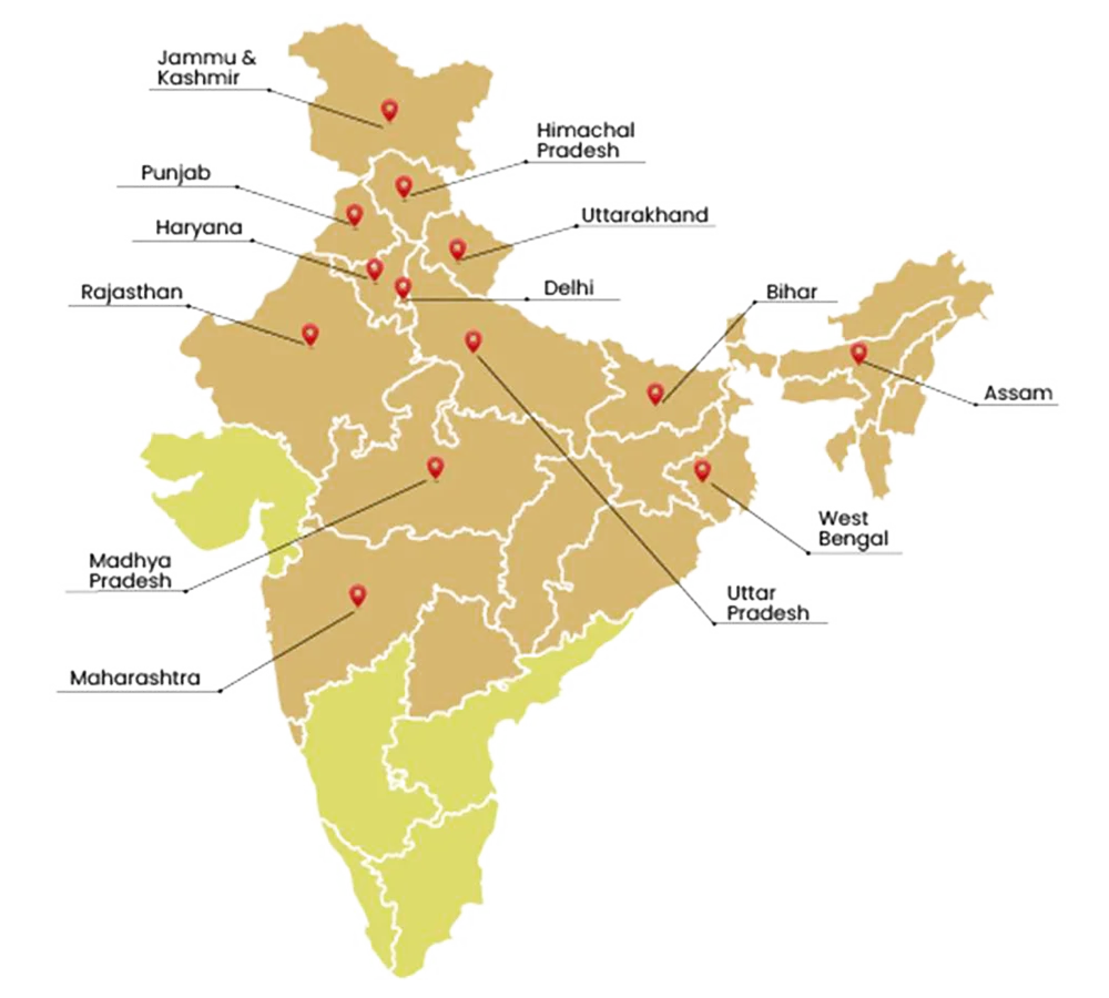 Sales-Distribution